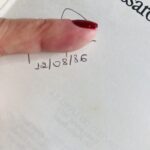 Livro Passaros Feridos - Imagem 5