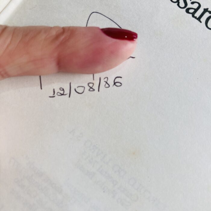 Livro Passaros Feridos - Imagem 5