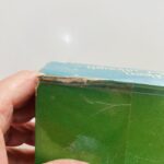 Livro Passaros Feridos - Imagem 7